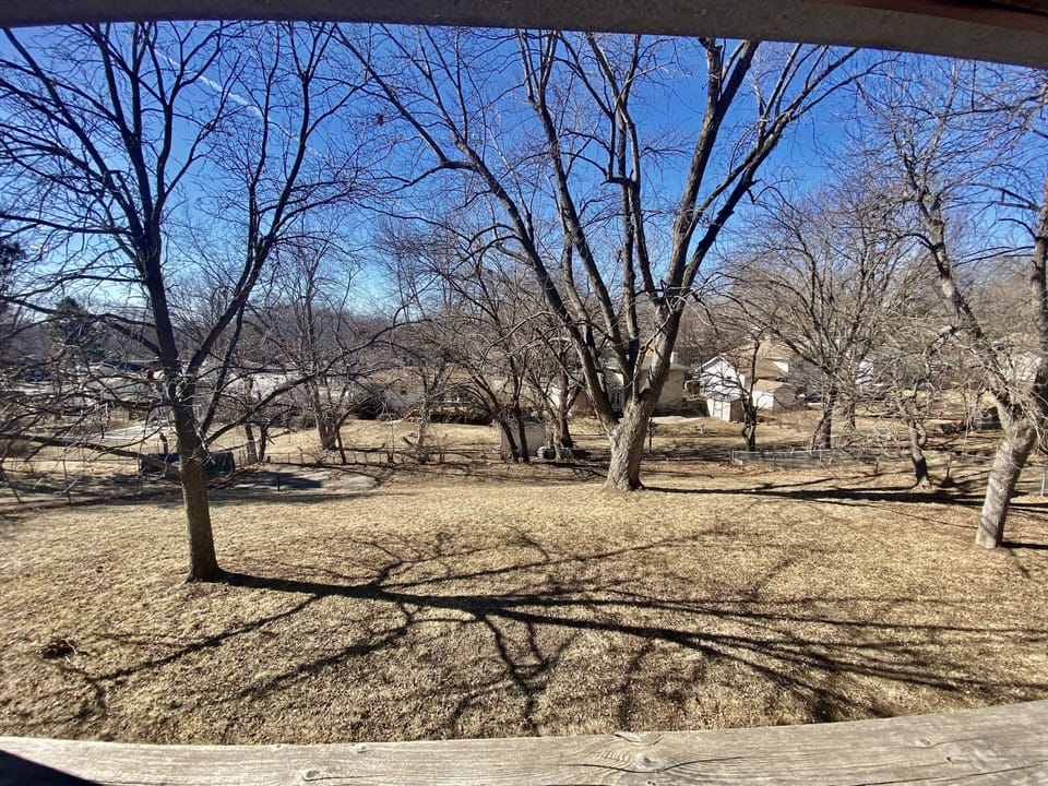 Completely fenced yard