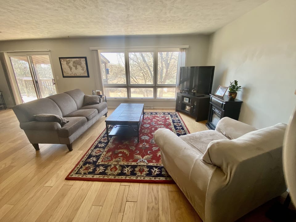 Bright living room overlooking backyard