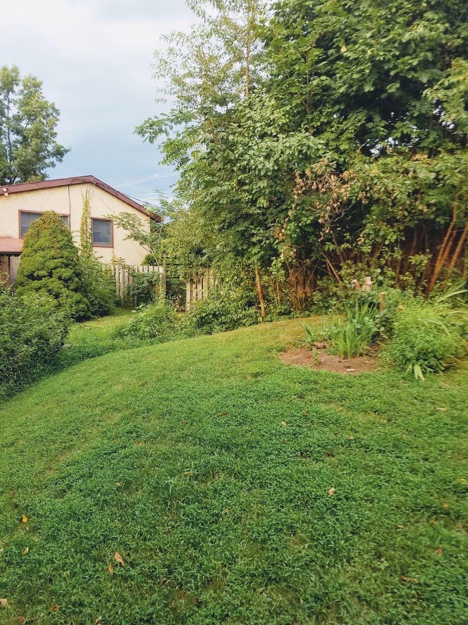 yard

