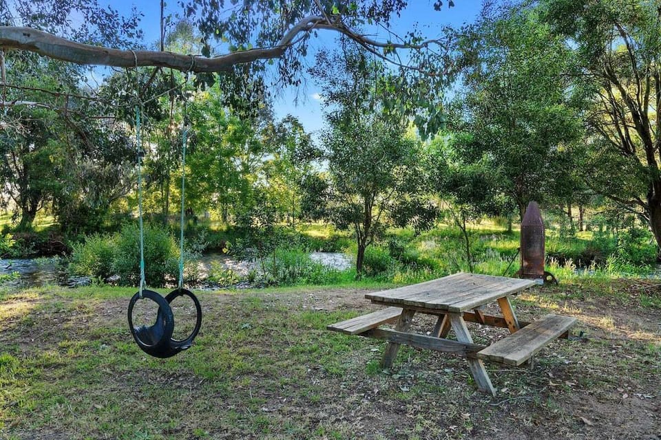 Table and swing on the river.