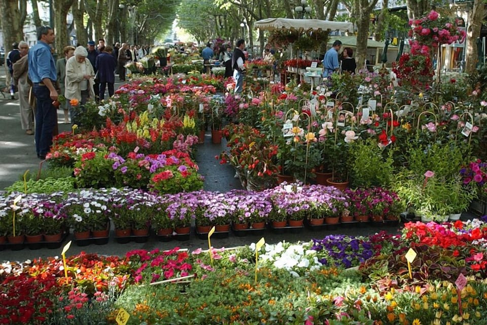 The flower market each Friday is only a 4-minute walk.
