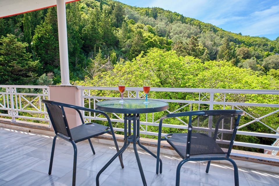 Villa Euphoria Apt 1 Afionas Corfu Neighborhood