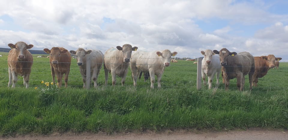 Neighbours