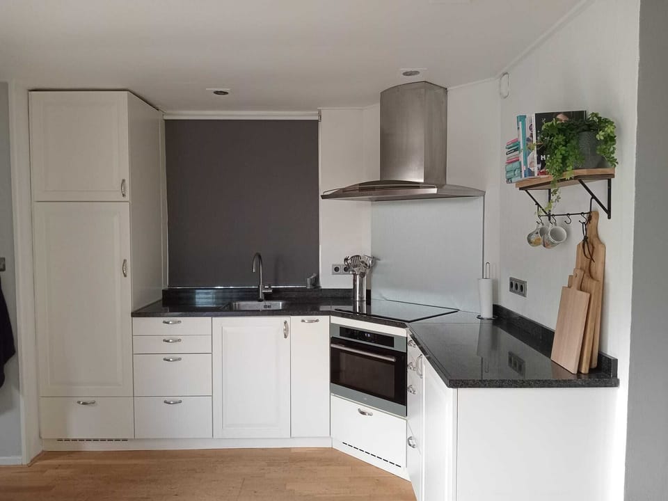 moderne keuken met koelkast, inductie en combi-oven