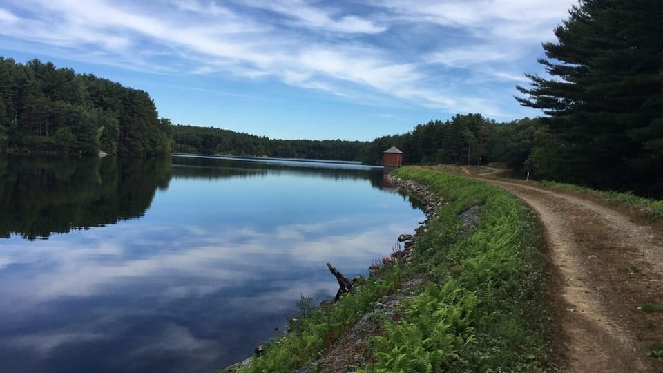 Unplug by the tranquil waterfront path and forest views.