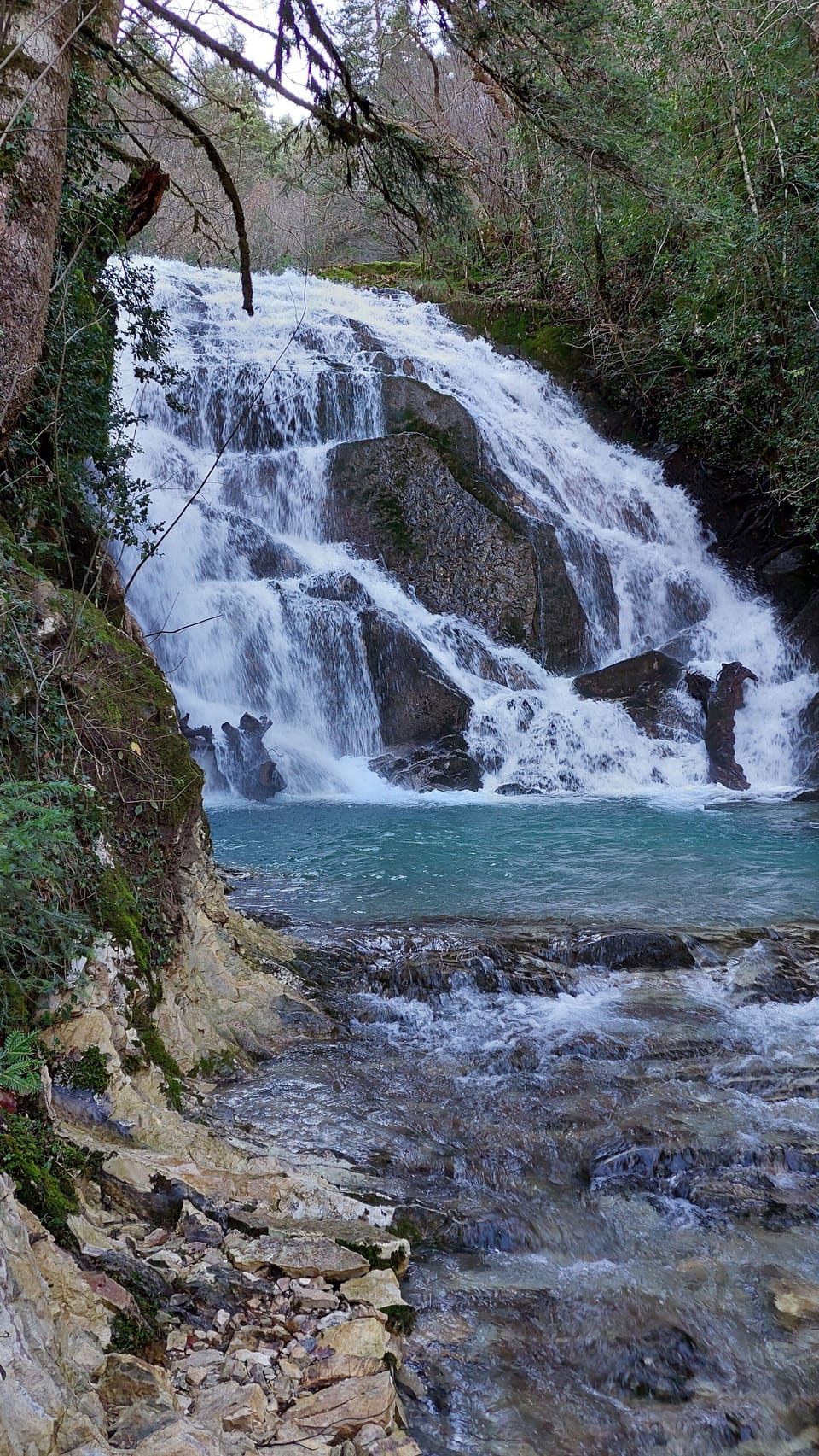 Rema Marks in winter
