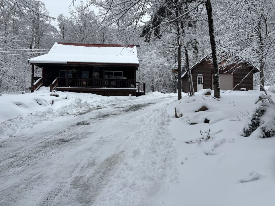 The Cabin and U-Driveway 