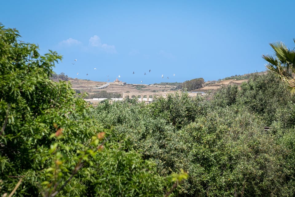 View from main bedroom.