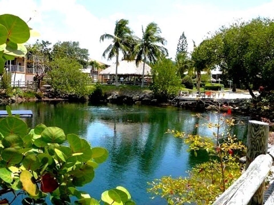 Our beautiful Lagoon, safe for swimming.