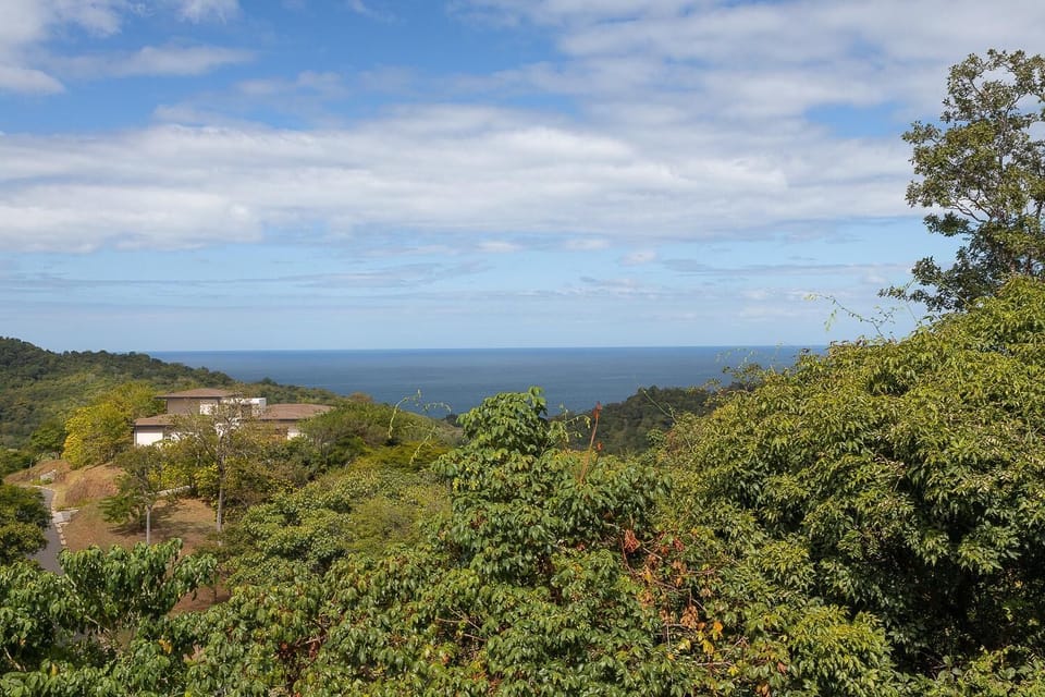 Endless Pacific Ocean views