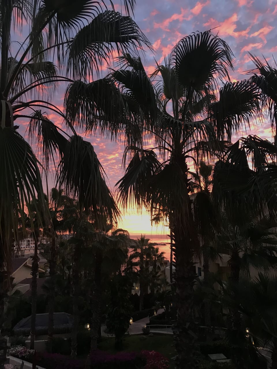 Sunrise from Building 4