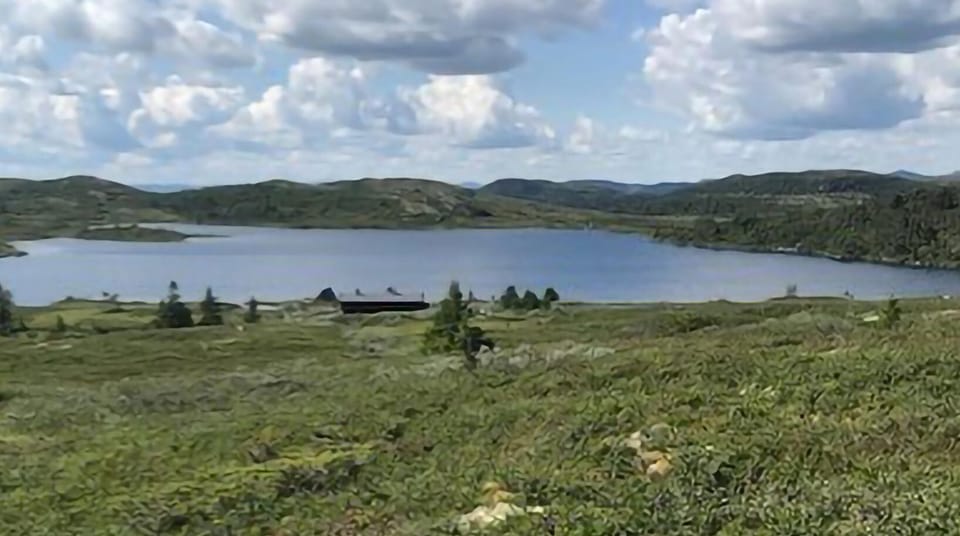 area