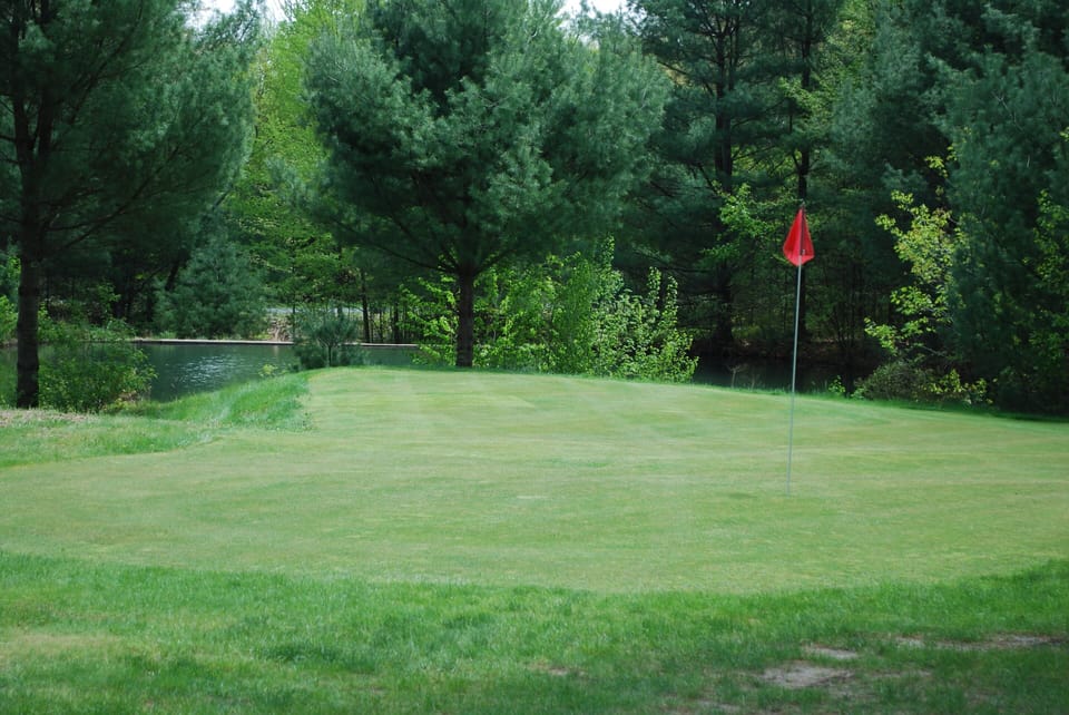 golf green #1