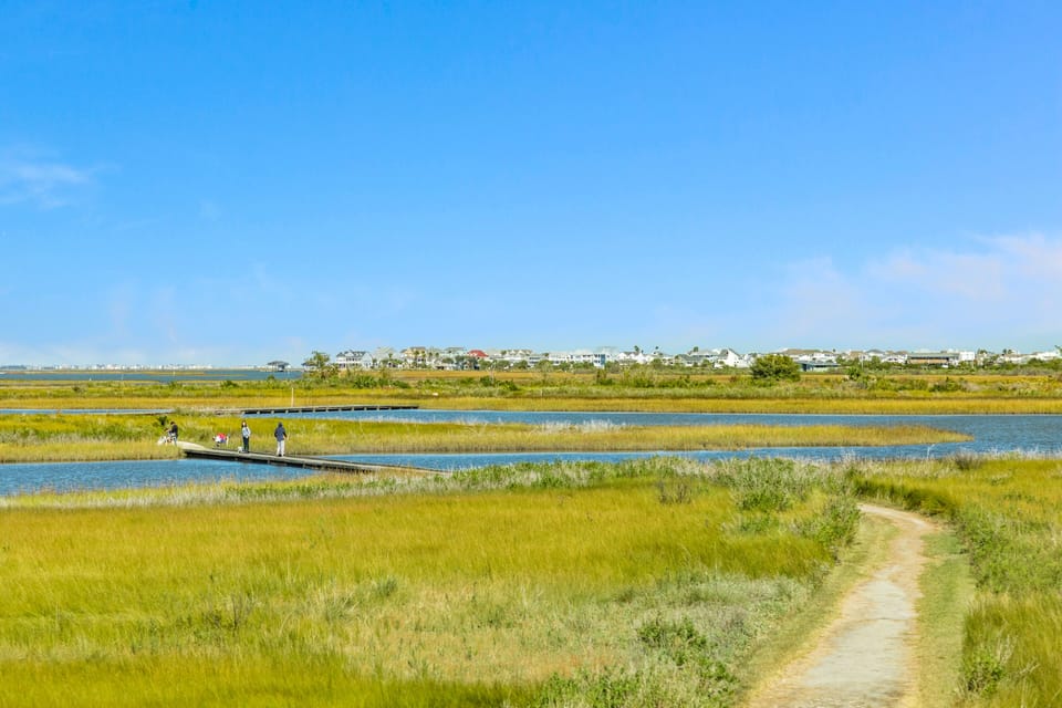 Walk the trails through the unique salt marshes and ecosystem of the bay side of the park.