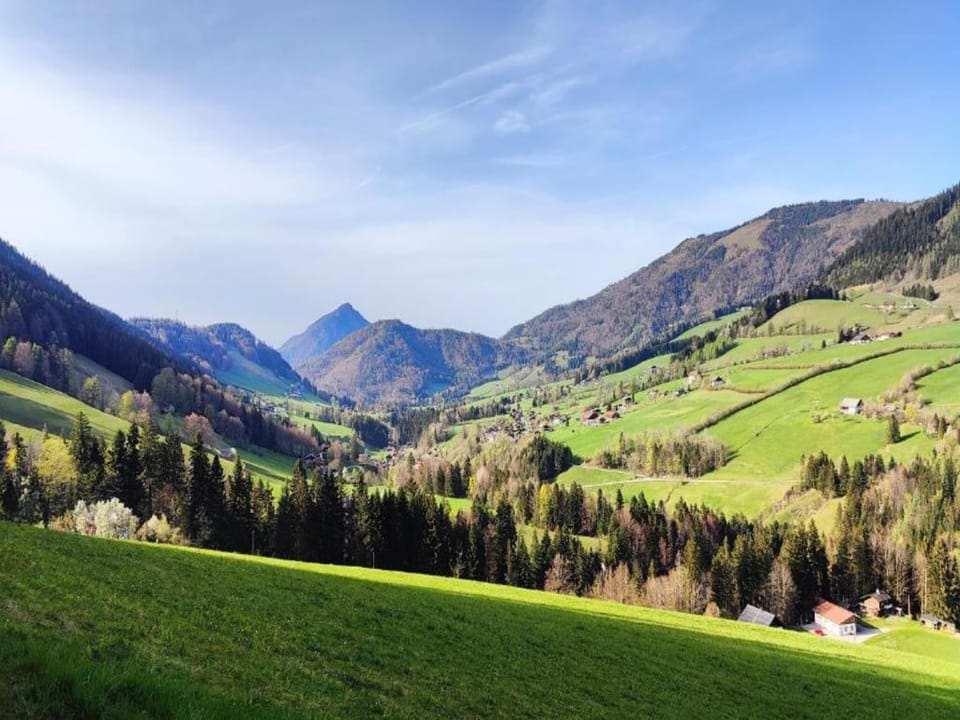 Region [summer] (>5 km)