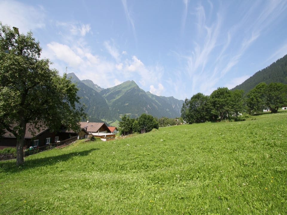 View from Holiday Home [summer]