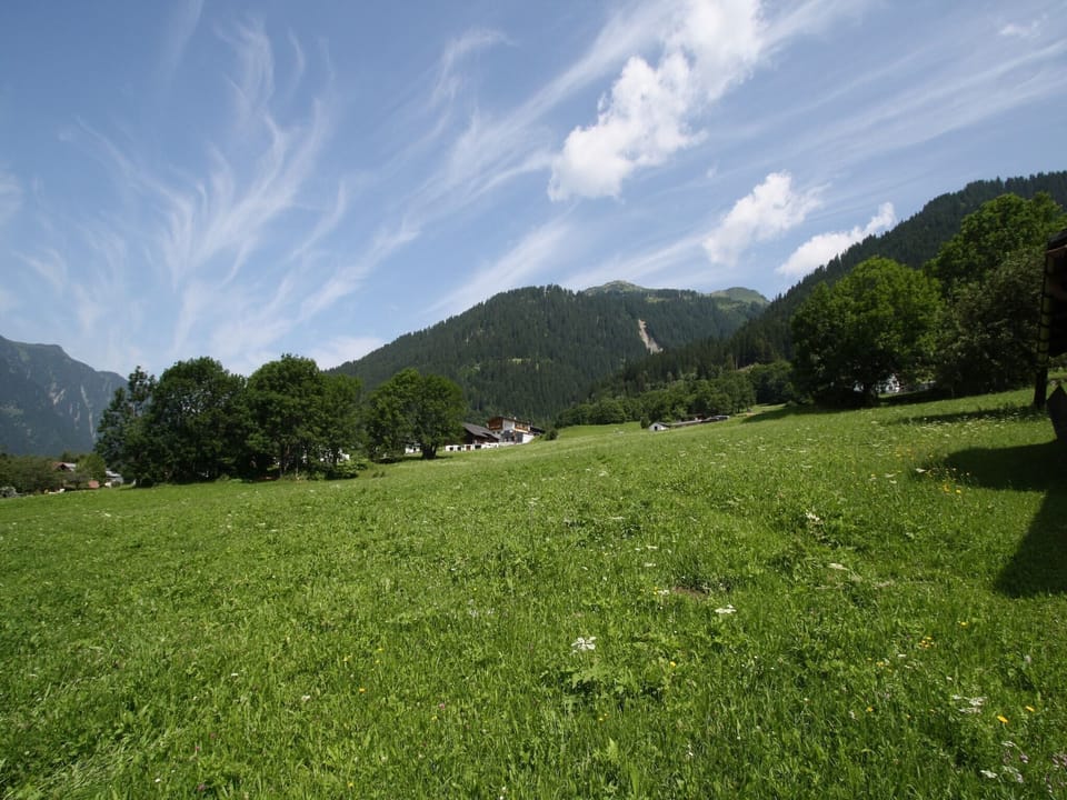 View from Holiday Home [summer]