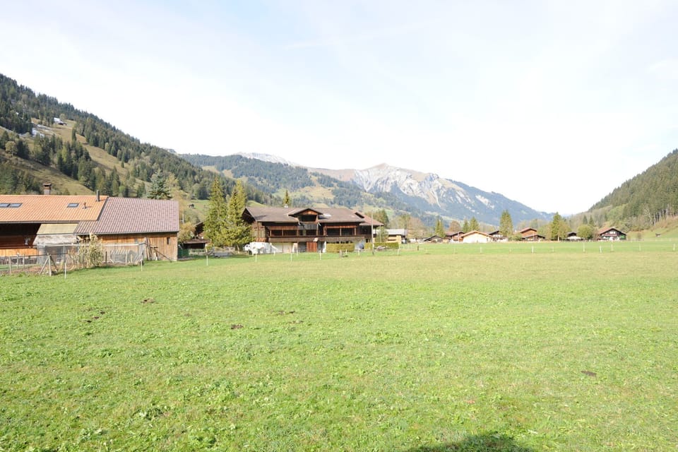 View from Holiday Home [summer]