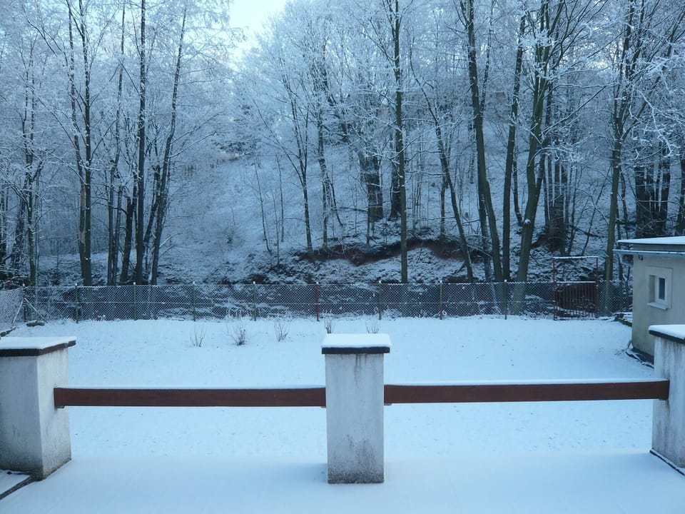 Garden [winter]