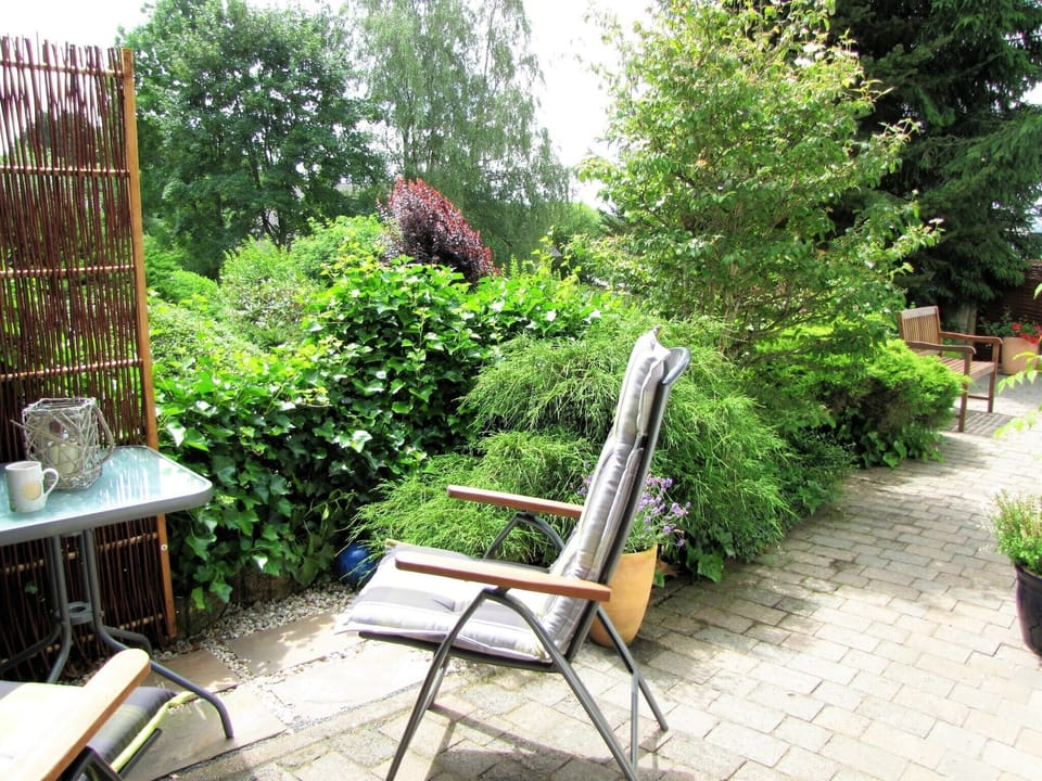 Garden [summer]