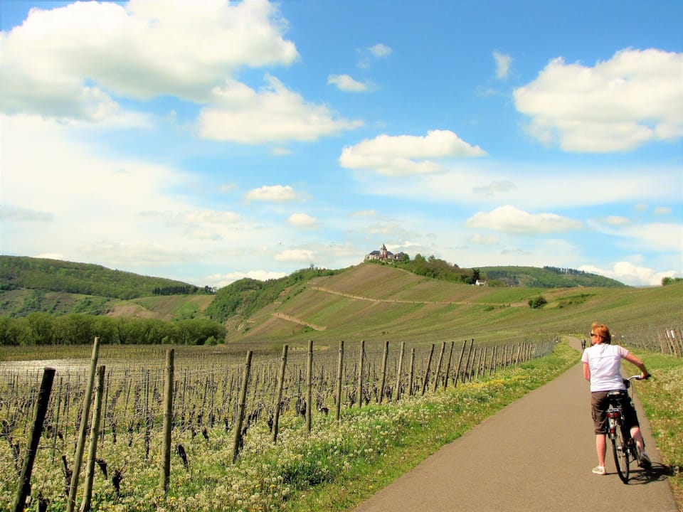 Region [summer] (>5 km)