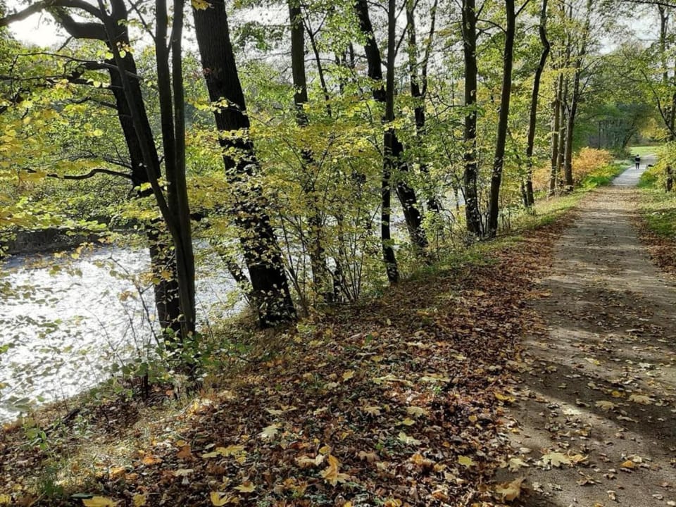 Region [summer] (>5 km)