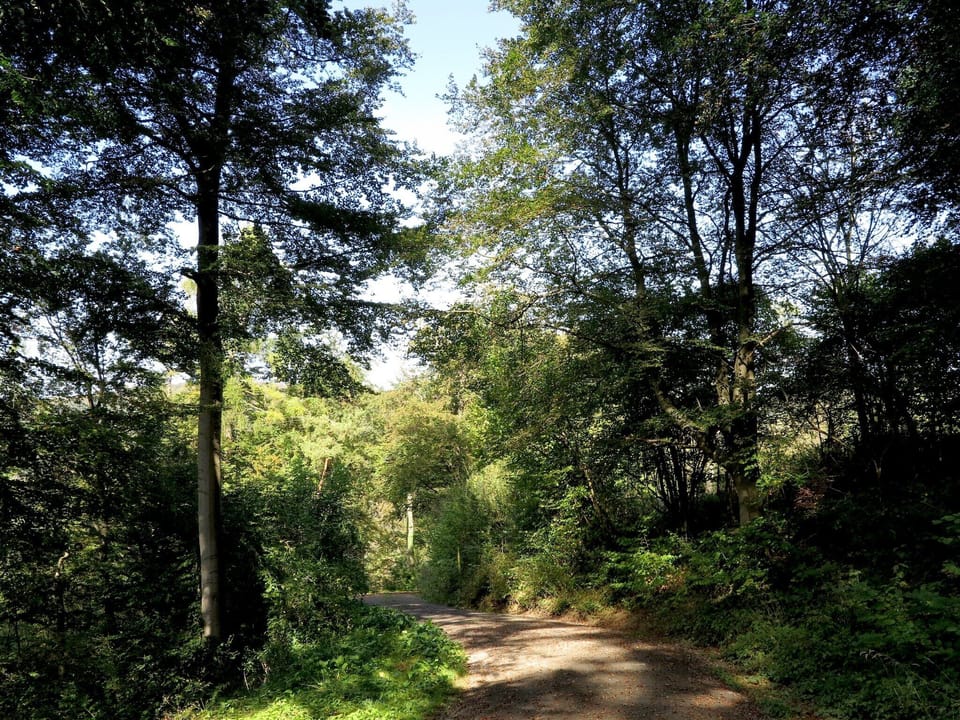 Immediate Surroundings [summer] (<1 km)