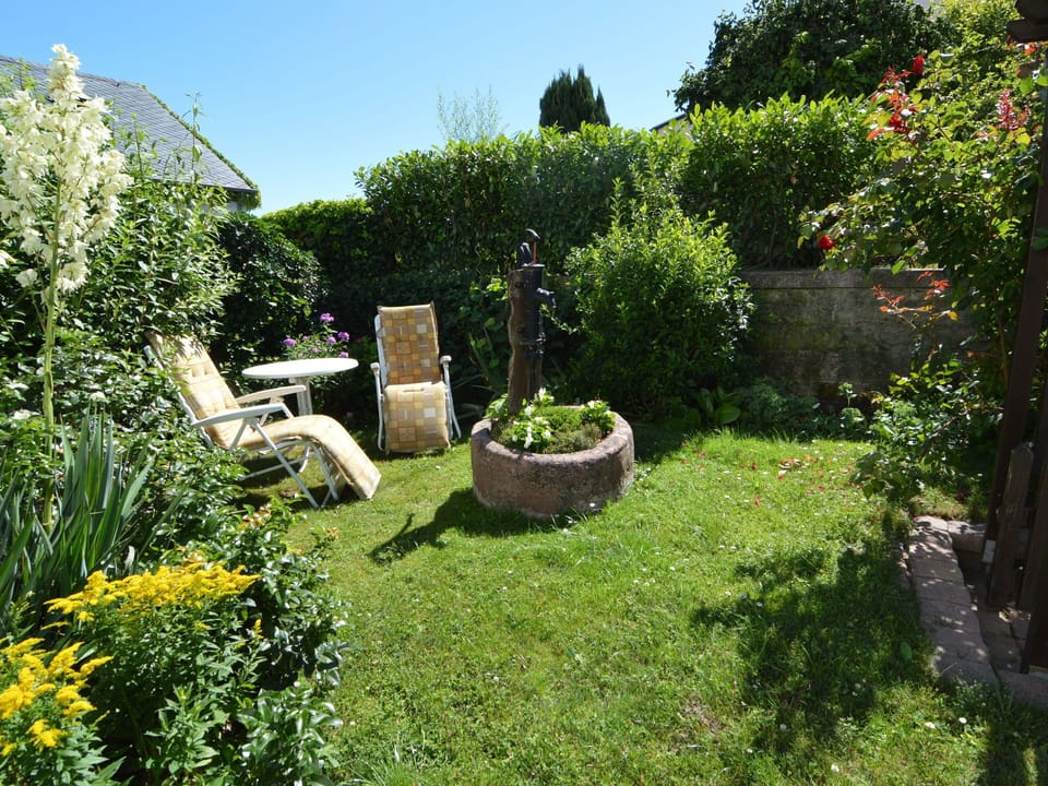Garden [summer]