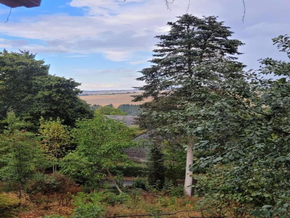 Region [summer] (>5 km)