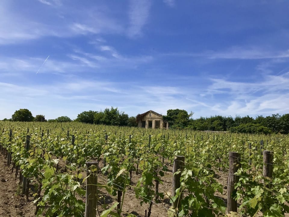 Surroundings [summer] (1-5 km)