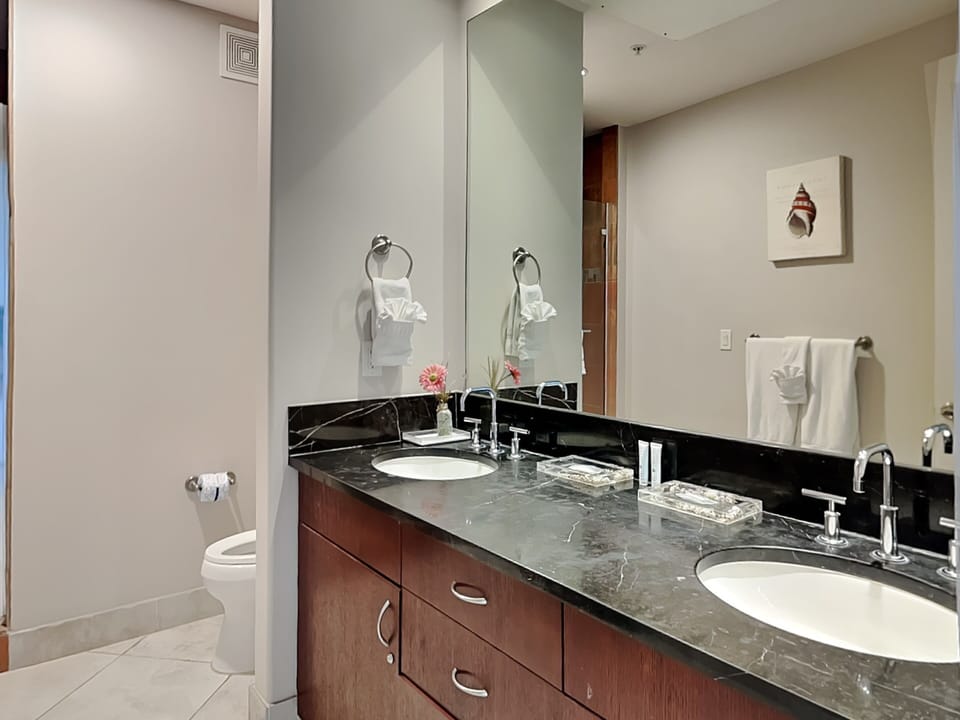 Primary Bathroom, Double Vanity