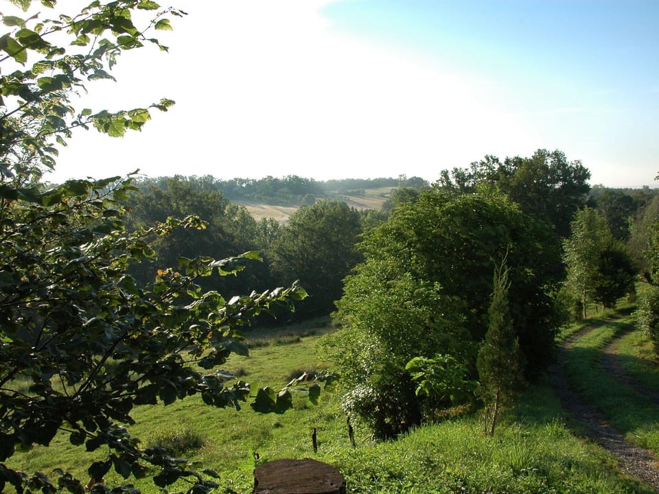 View from Holiday Home [summer]