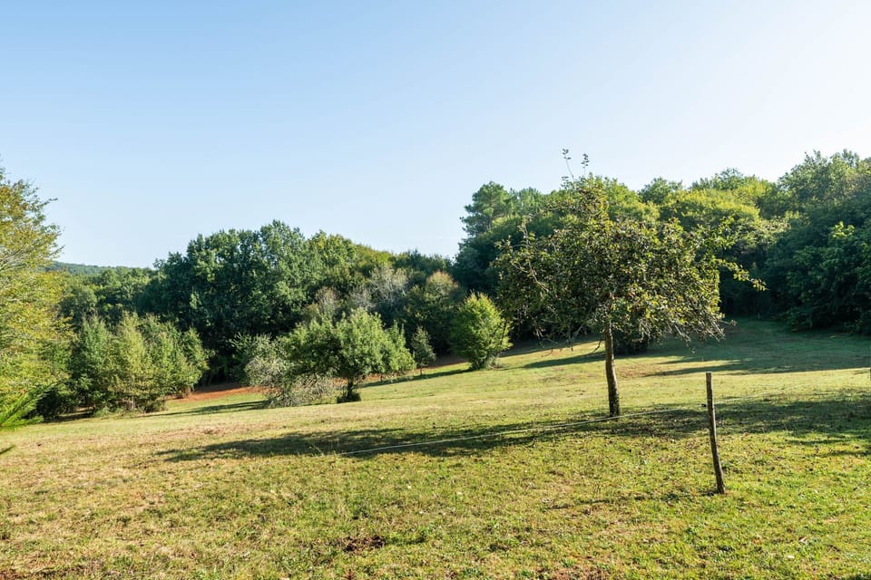 Immediate Surroundings [summer] (<1 km)
