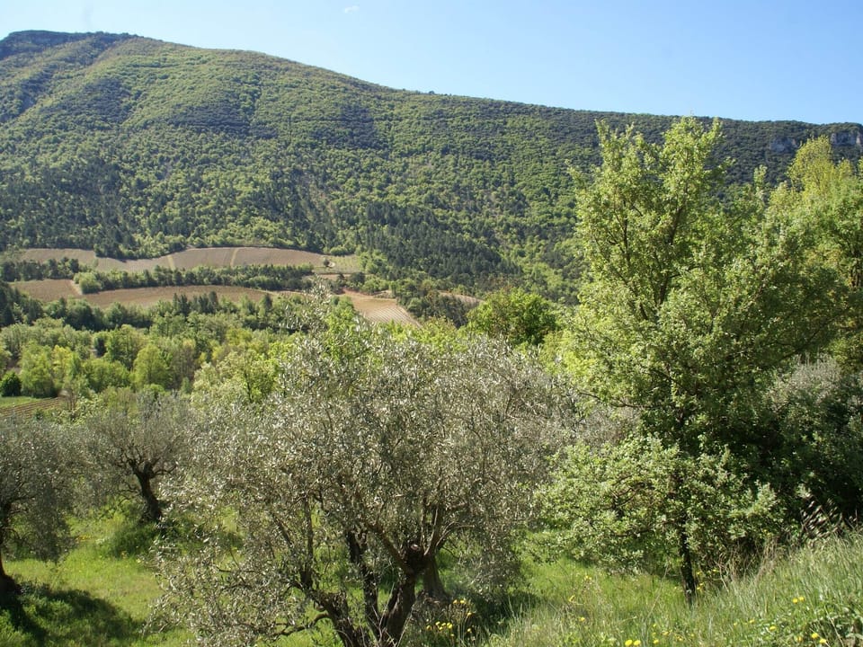 Surroundings [summer] (1-5 km)