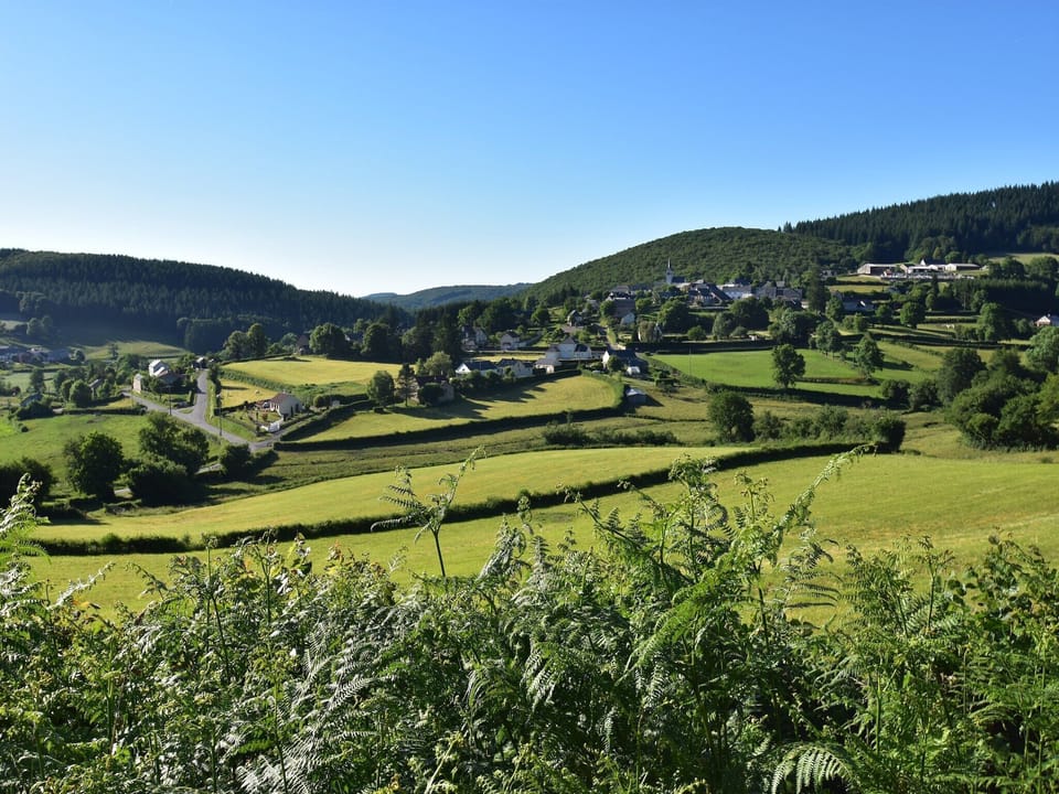 Region [summer] (>5 km)