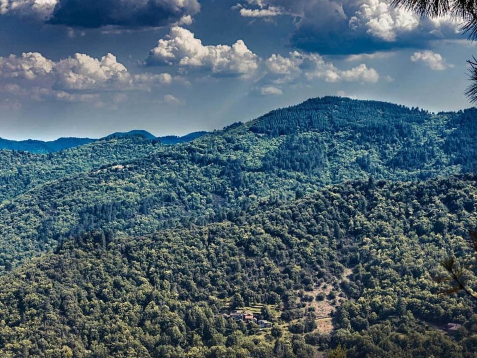 Surroundings [summer] (1-5 km)