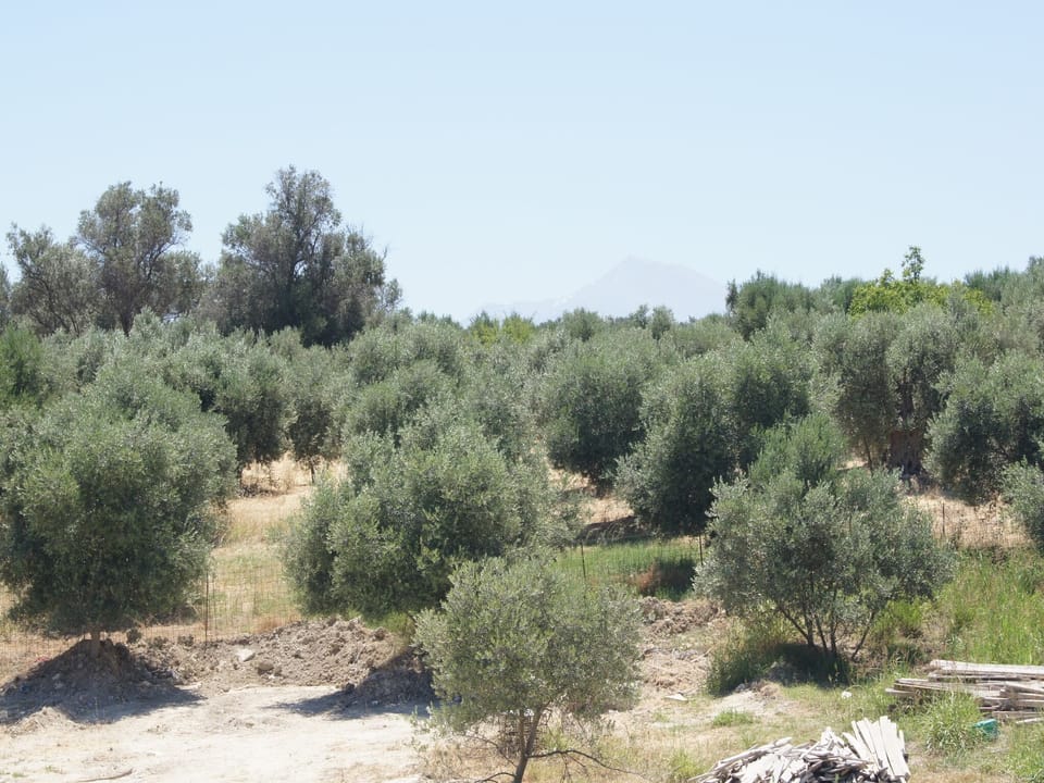 View from Holiday Home [summer]