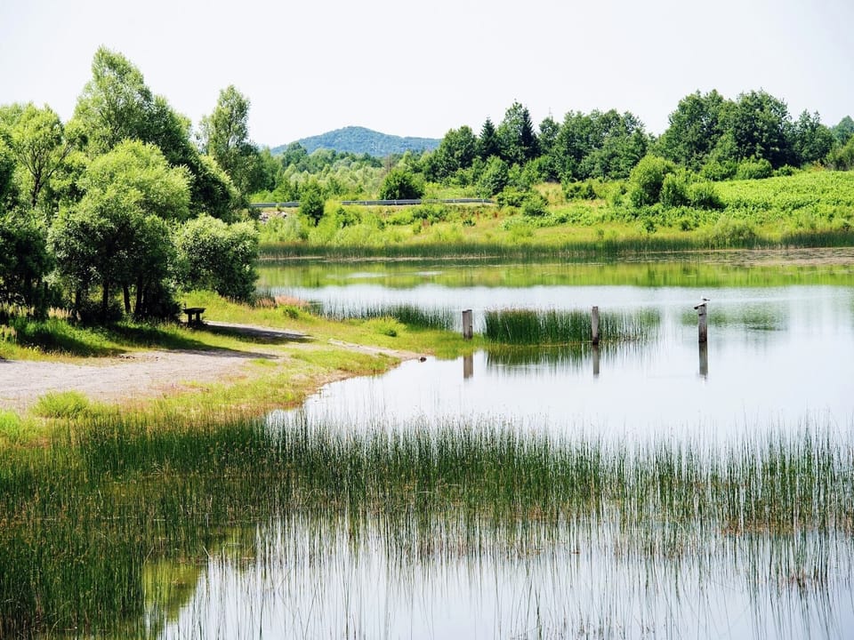 Surroundings [winter] (1-5 km)