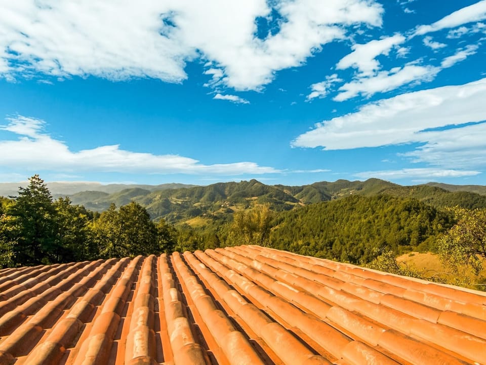 View from Holiday Home [summer]