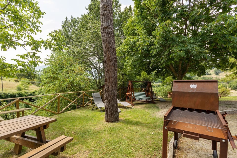 Garden [summer]