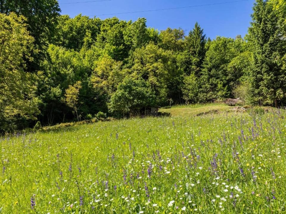 Region [summer] (>5 km)