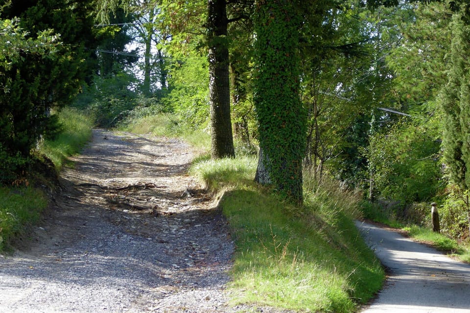 Immediate Surroundings [summer] (<1 km)