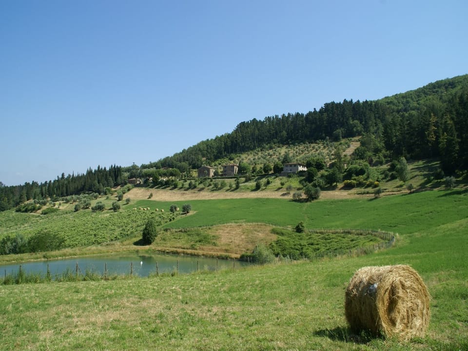 Immediate Surroundings [summer] (<1 km)