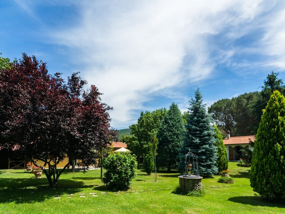 Garden [summer]