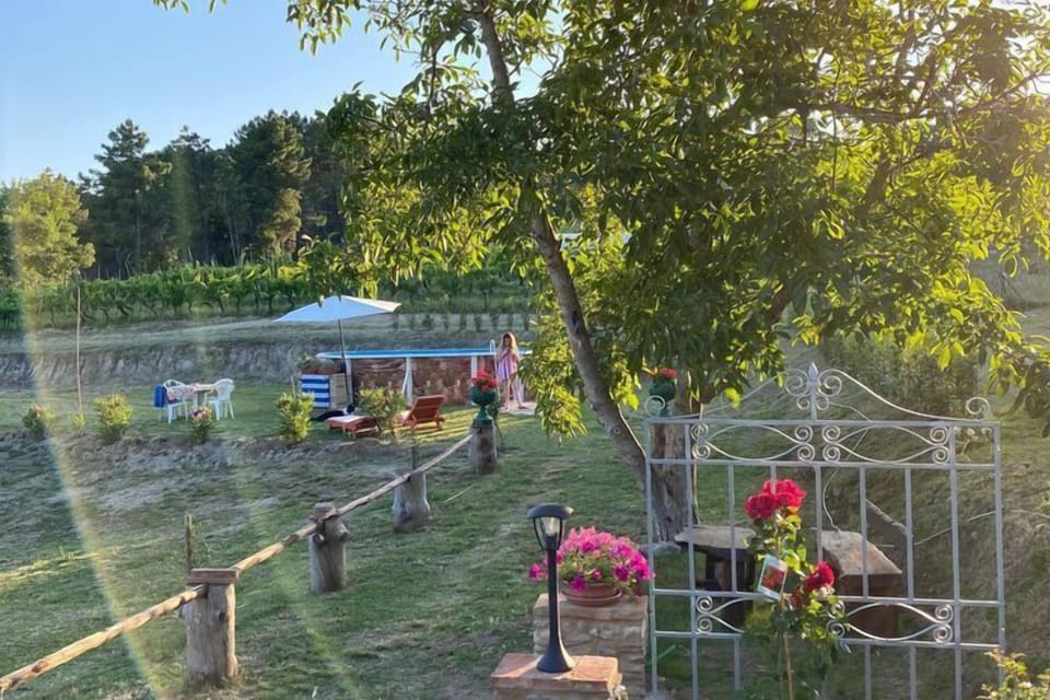 Garden [summer]