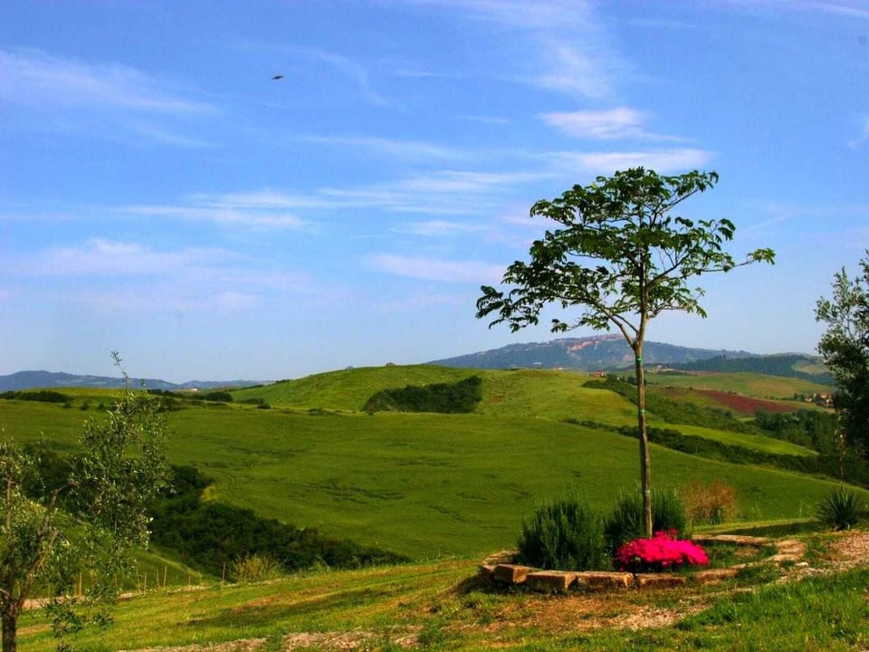 View from Holiday Home [summer]