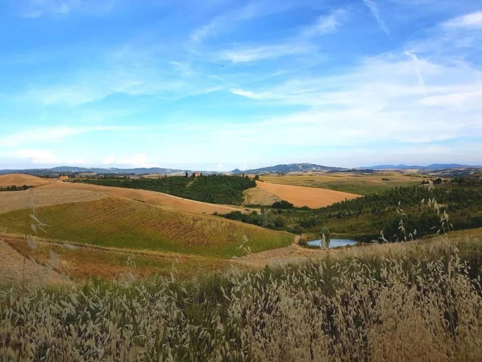 Surroundings [summer] (1-5 km)