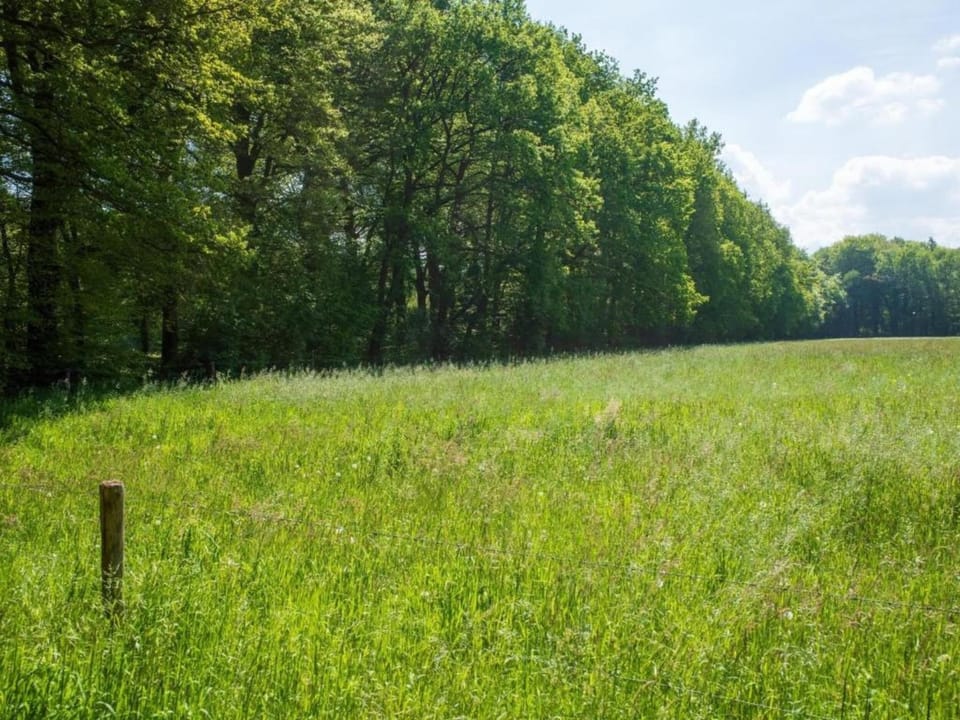 Region [summer] (>5 km)