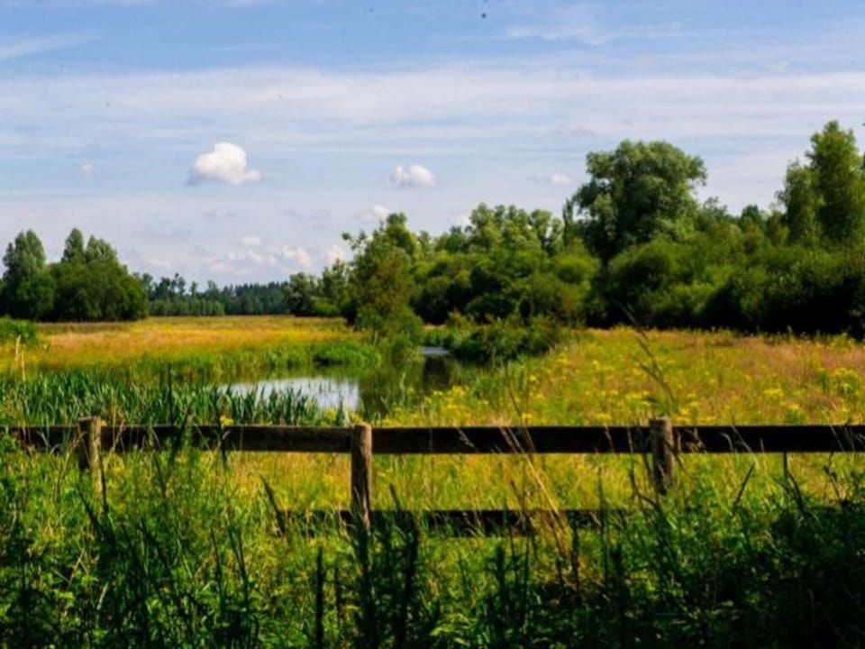 Region [summer] (>5 km)