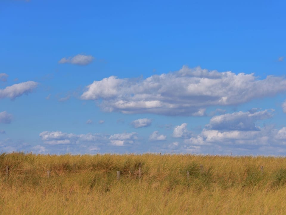 View from Holiday Home [summer]